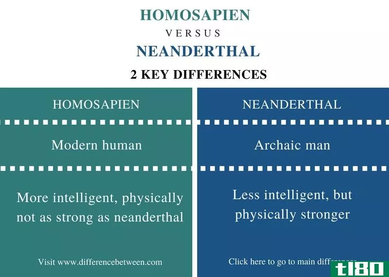 智人(homosapien)和尼安德特人(neanderthal)的区别