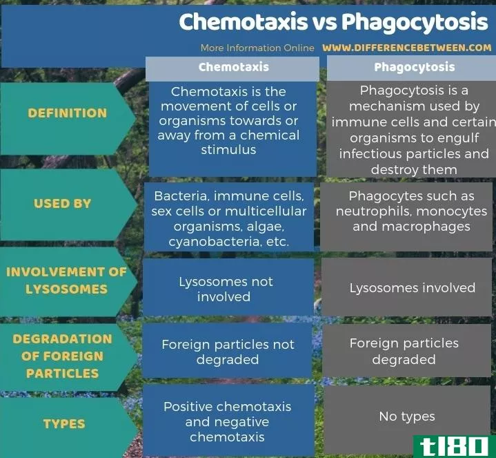 趋化性(chemotaxis)和吞噬作用(phagocytosis)的区别