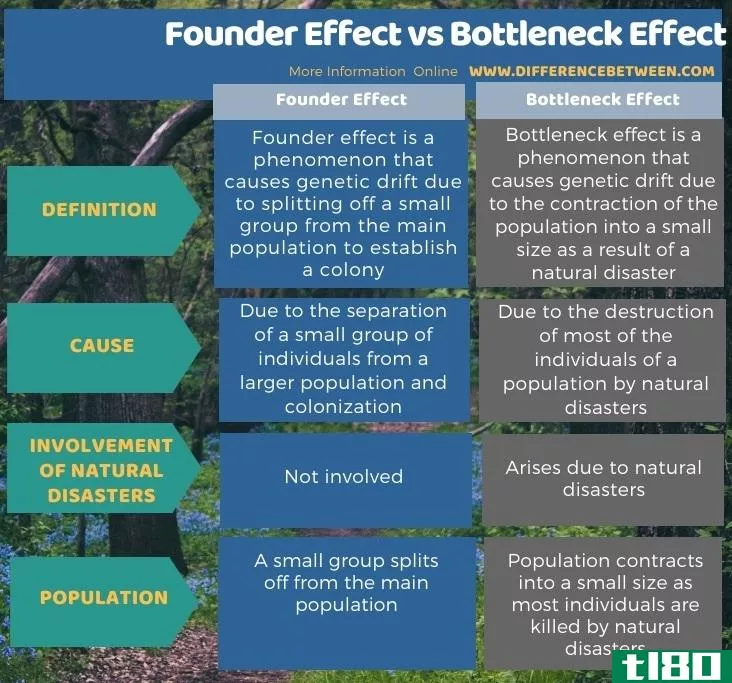 创始人效应(founder effect)和瓶颈效应(bottleneck effect)的区别