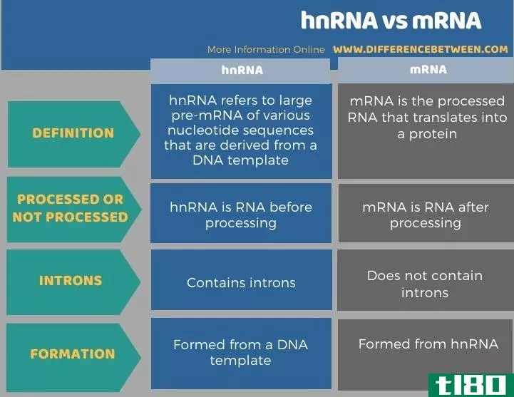 hnrna(hnrna)和信使核糖核酸(mrna)的区别