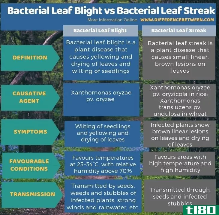 白叶枯病(bacterial leaf blight)和细菌性叶斑病(bacterial leaf streak)的区别