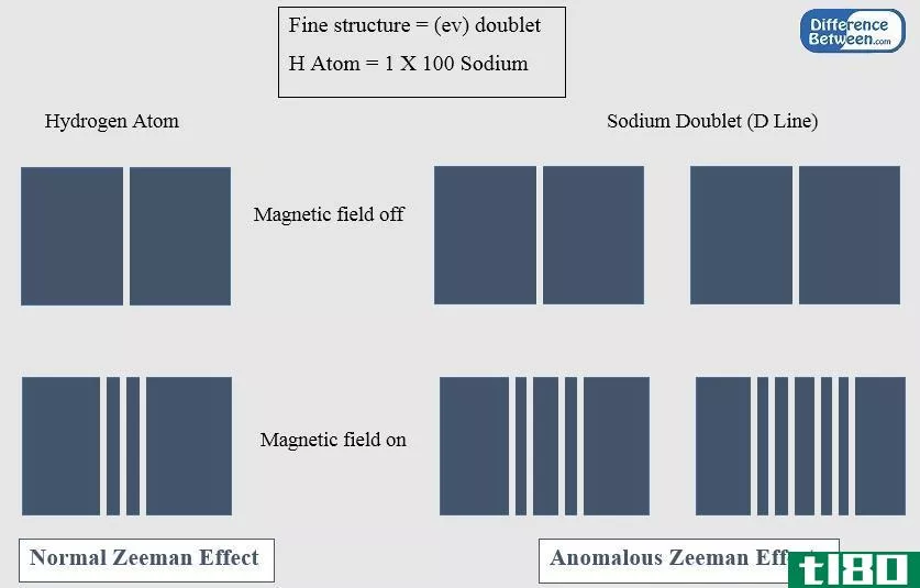 正常的(normal)和反常塞曼效应(anomalous zeeman effect)的区别