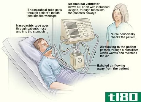 防毒面具(respirator)和通风机(ventilator)的区别