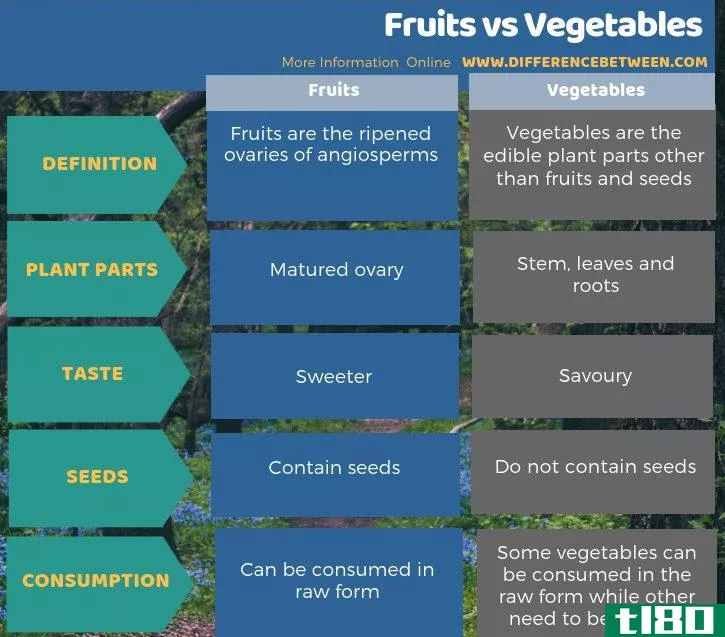 水果之间的差异(differences between fruits)和蔬菜(vegetables)的区别