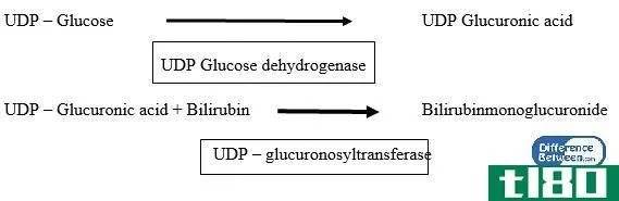 直接的(direct)和间接胆红素(indirect bilirubin)的区别