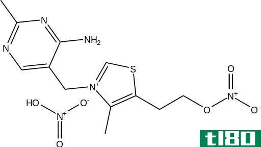 硝酸硫胺(thiamine mononitrate)和盐酸硫胺素(thiamine hydrochloride)的区别