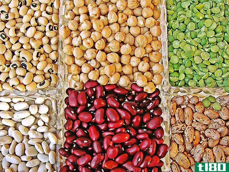 豆类(legumes)和豆(beans)的区别
