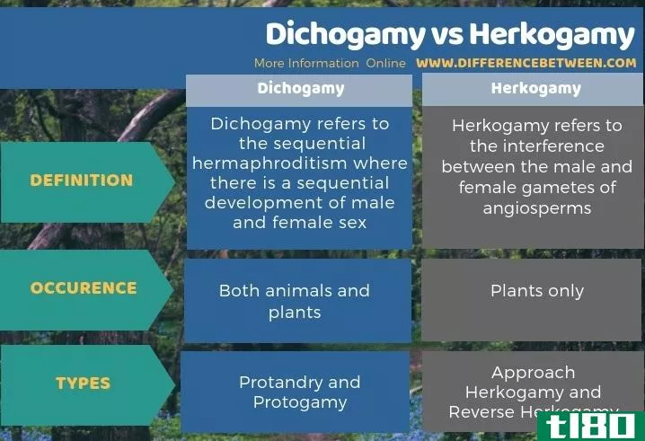 两色(dichogamy)和赫科加米(herkogamy)的区别