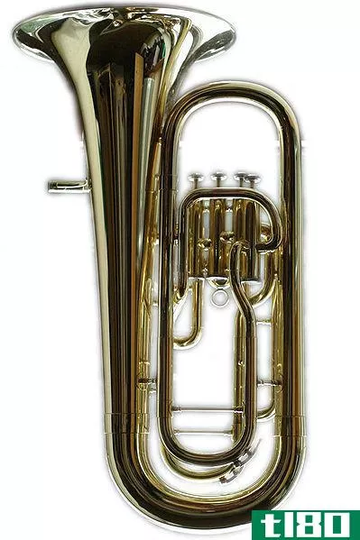 胡杨(euphonium)和大号(tuba)的区别