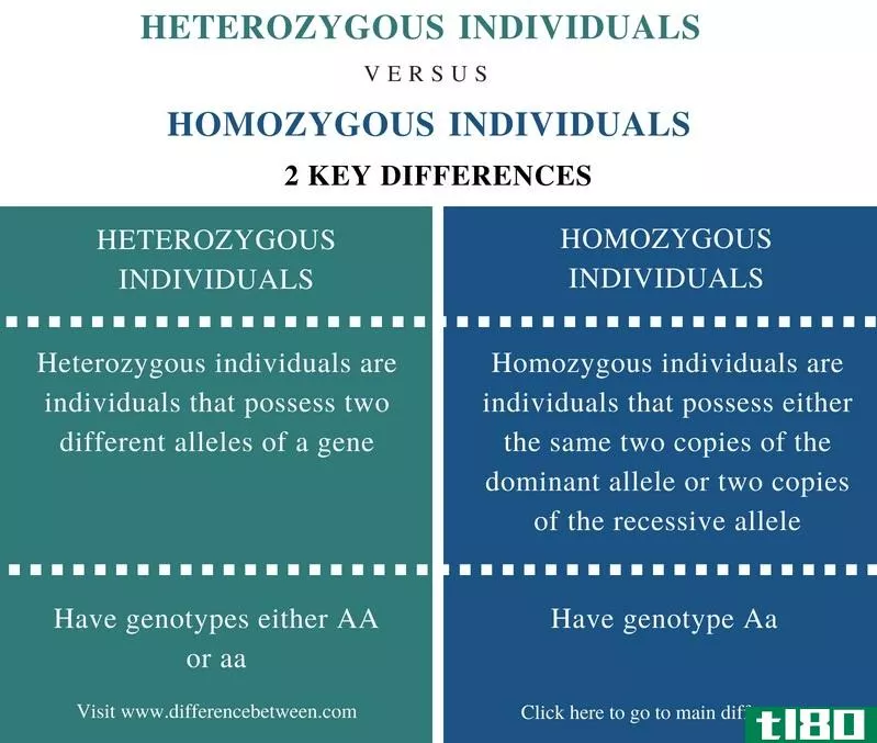杂合子(heterozygous)和纯合个体(homozygous individuals)的区别