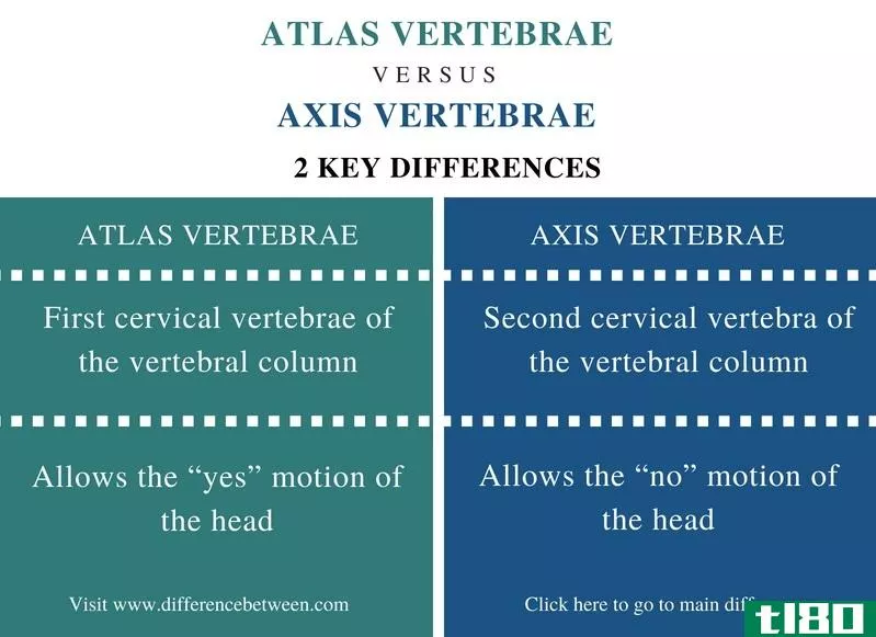 阿特拉斯(atlas)和轴椎(axis vertebrae)的区别