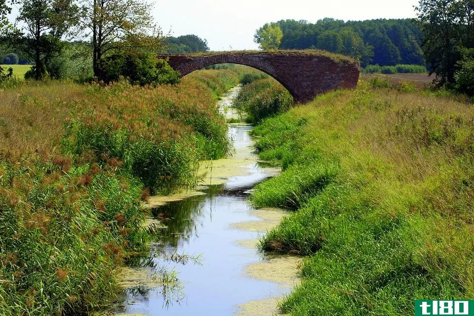 小溪(a stream)和小溪(a brook)的区别