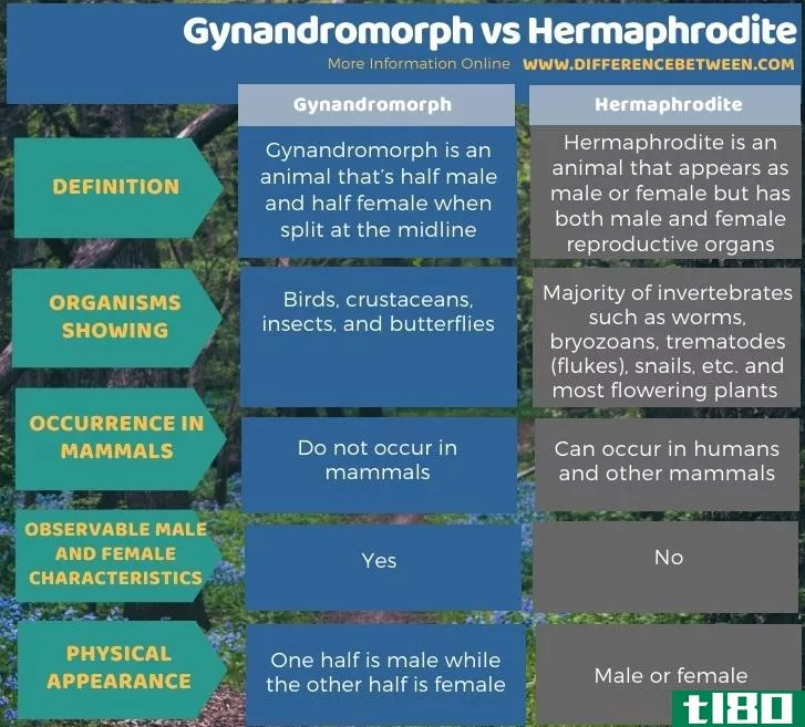 雌雄同体(gynandromorph)和雌雄同体(hermaphrodite)的区别