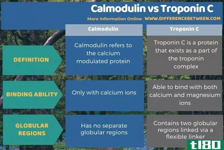 钙调蛋白(calmo****n)和肌钙蛋白c(troponin c)的区别