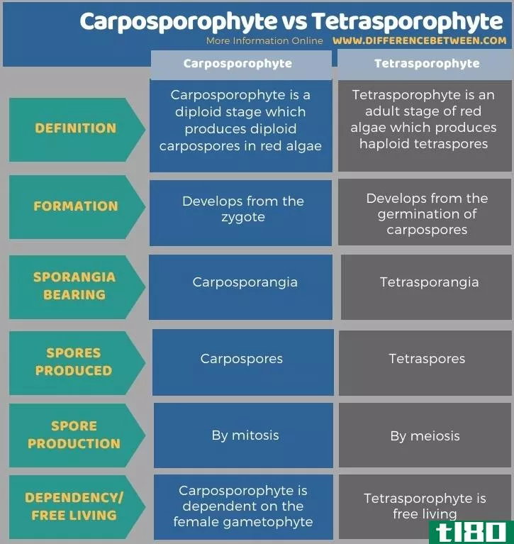 心皮植物(carposporophyte)和四孢子体(tetrasporophyte)的区别