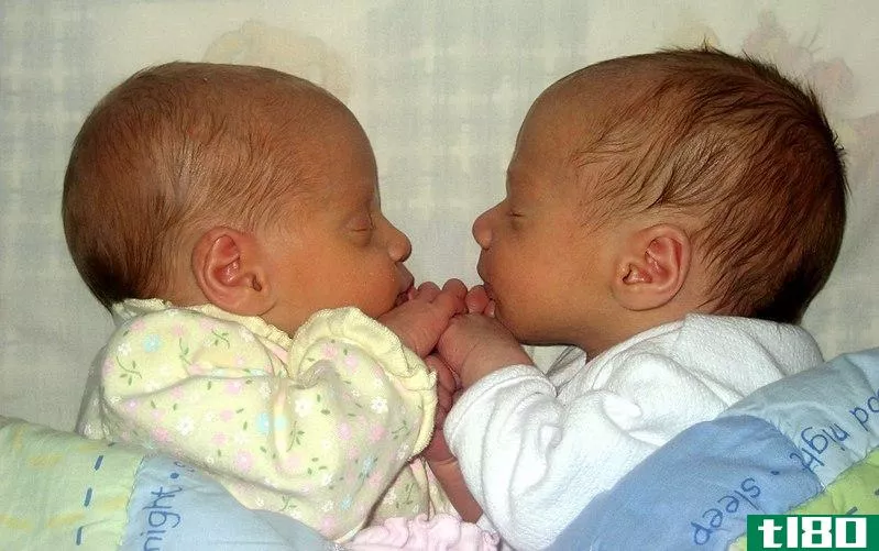单合子的(monozygotic)和双卵双胞胎(dizygotic twins)的区别