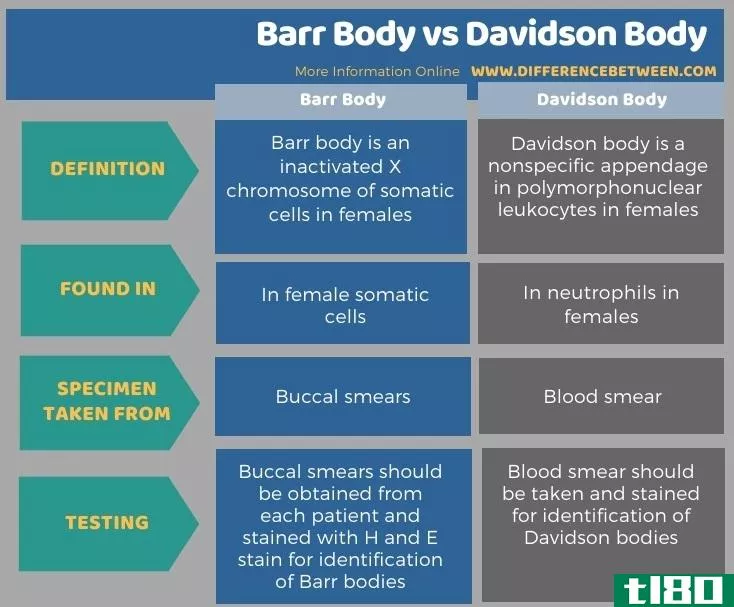 巴尔体(barr body)和戴维森体(davidson body)的区别
