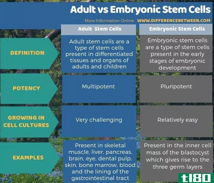 **(*****)和胚胎干细胞(embryonic stem cells)的区别