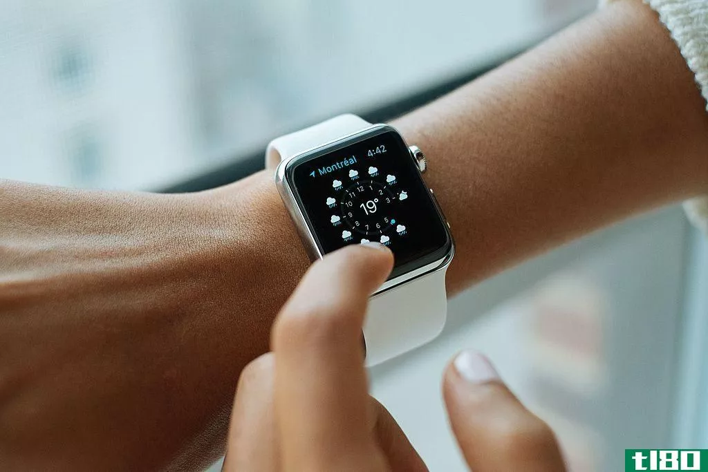 菲特比特(fitbit)和苹果手表(apple watch)的区别