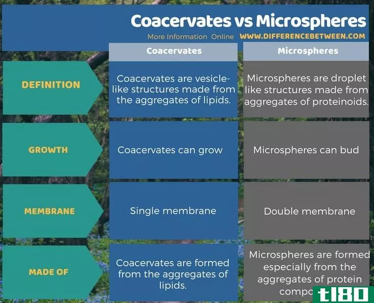 团聚体(coacervates)和微球(microspheres)的区别