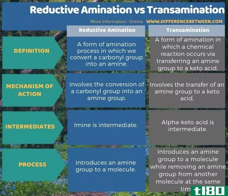 还原胺化(reductive amination)和转氨作用(transamination)的区别