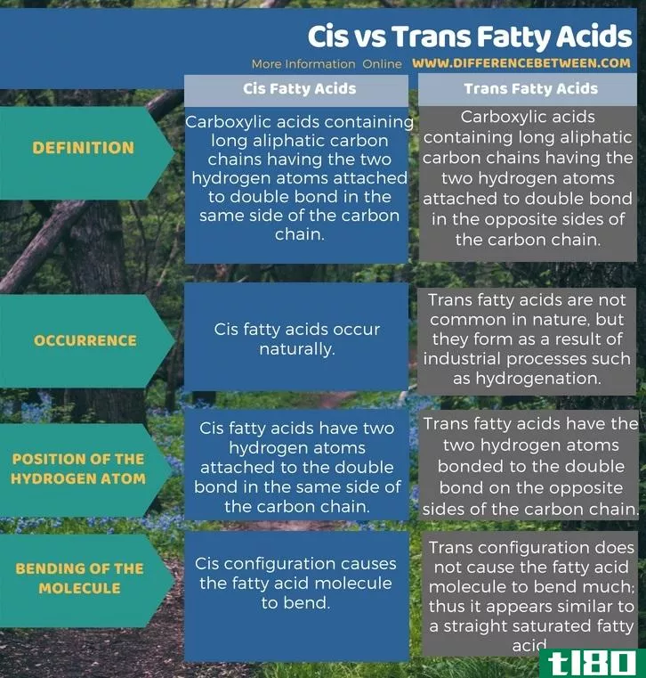 独联体(cis)和反式脂肪酸(trans fatty acids)的区别