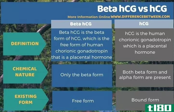 β-hcg(beta hcg)和hcg公司(hcg)的区别