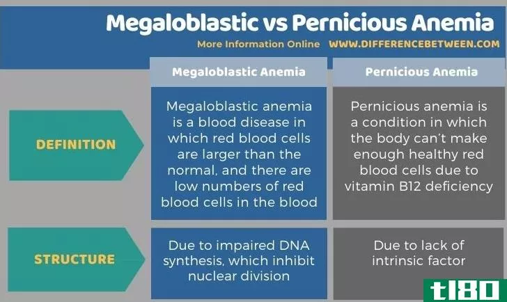 巨幼细胞(megaloblastic)和恶性贫血(pernicious anemia)的区别