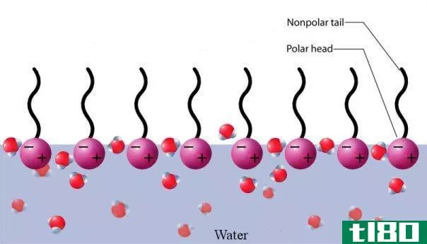 阴阳离子(anionic cationic)和非离子表面活性剂(nonionic surfactants)的区别