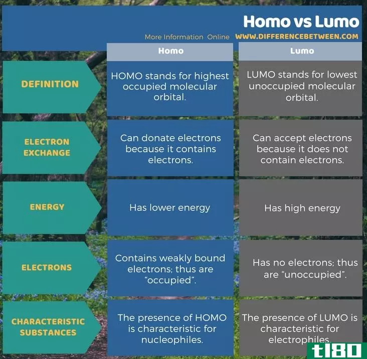 人类(homo)和卢莫(lumo)的区别