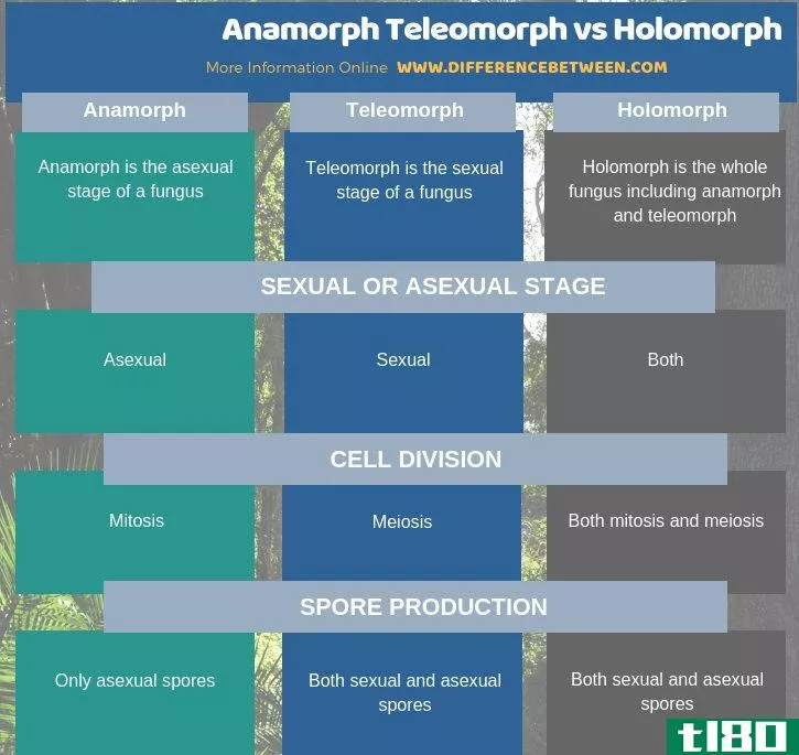 变形金刚(anamorph teleomorph)和全形(holomorph)的区别