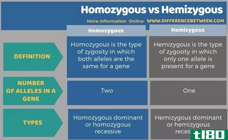 纯合(homozygous)和半合子(hemizygous)的区别