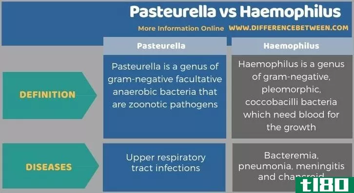 巴氏杆菌(pasteurella)和嗜血杆菌(haemophilus)的区别