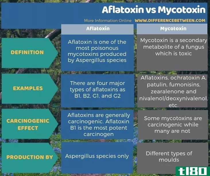 黄曲霉毒素(aflatoxin)和真菌毒素(mycotoxin)的区别