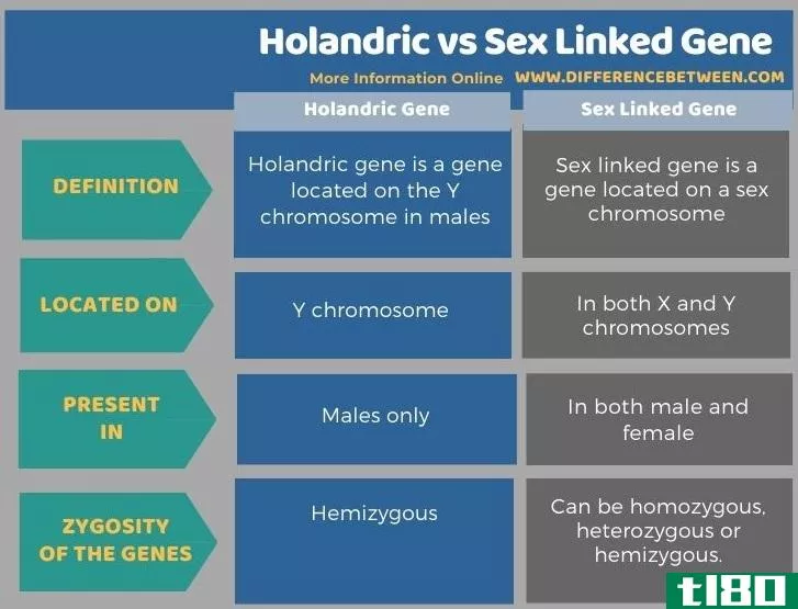 荷兰德里克(holandric)和性连锁基因(sex linked gene)的区别