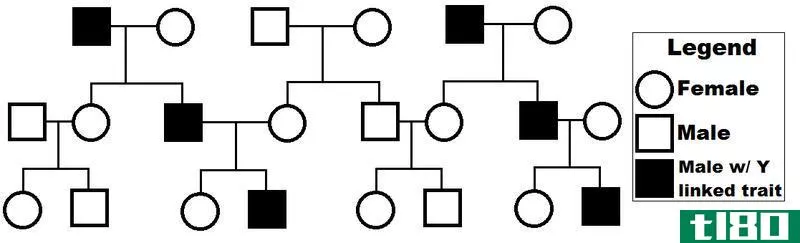 荷兰德里克(holandric)和性连锁基因(sex linked gene)的区别