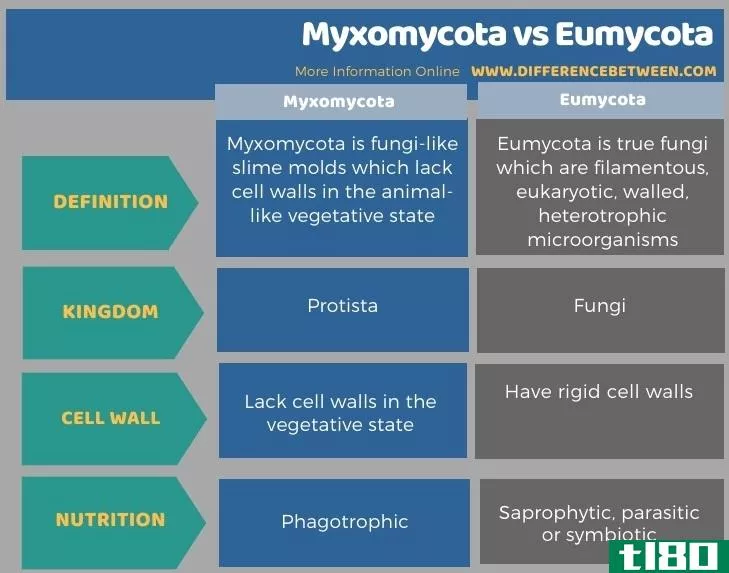 粘菌纲(myxomycota)和欧米科塔(eumycota)的区别