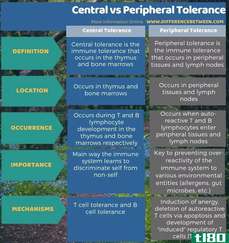 中心的(central)和周边公差(peripheral tolerance)的区别