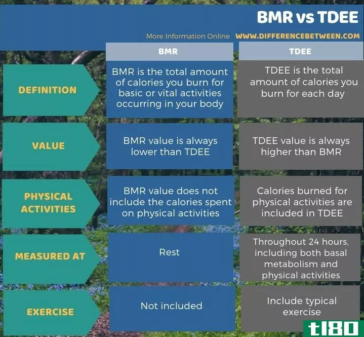bmr公司(bmr)和tdee(tdee)的区别