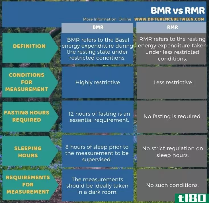bmr公司(bmr)和rmr公司(rmr)的区别
