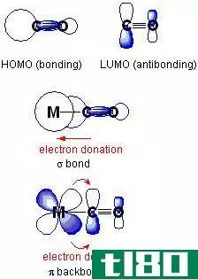 背面粘合(back bonding)和配位键合(coordinate bonding)的区别