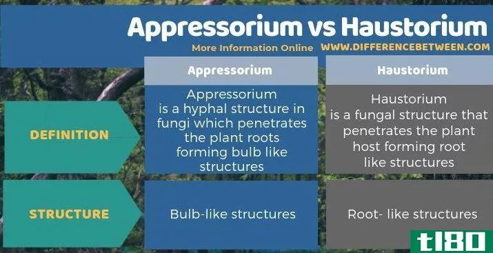 附着胞(appressorium)和吸器(haustorium)的区别