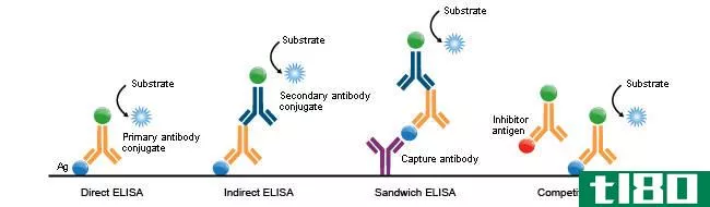 酶联免疫吸附试验(elisa)和快速试验(rapid test)的区别