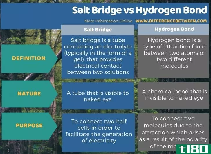 盐桥(salt bridge)和氢键(hydrogen bond)的区别