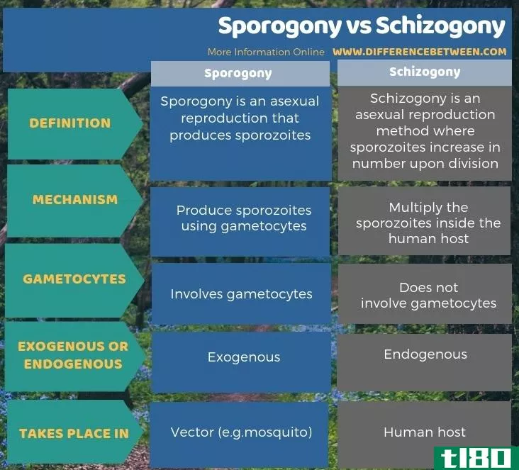 孢子发生(sporogony)和分裂症(schizogony)的区别