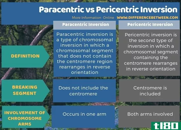 副中心(paracentric)和周心反转(pericentric inversion)的区别