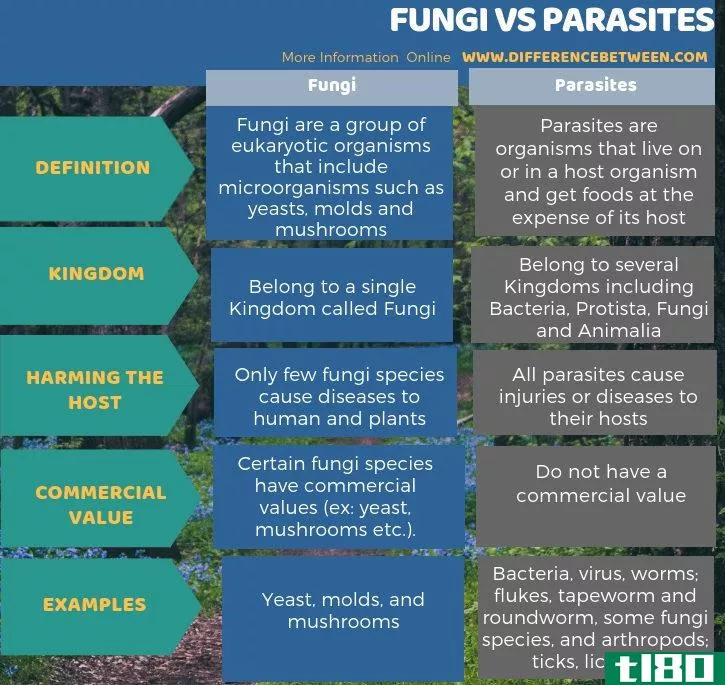 真菌(fungi)和寄生虫(parasites)的区别