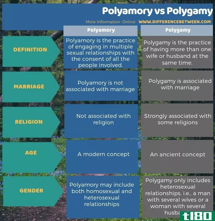 多妻制(polyamory)和一夫多妻制(polygamy)的区别