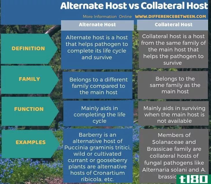 备用主机(alternate host)和间接宿主(collateral host)的区别