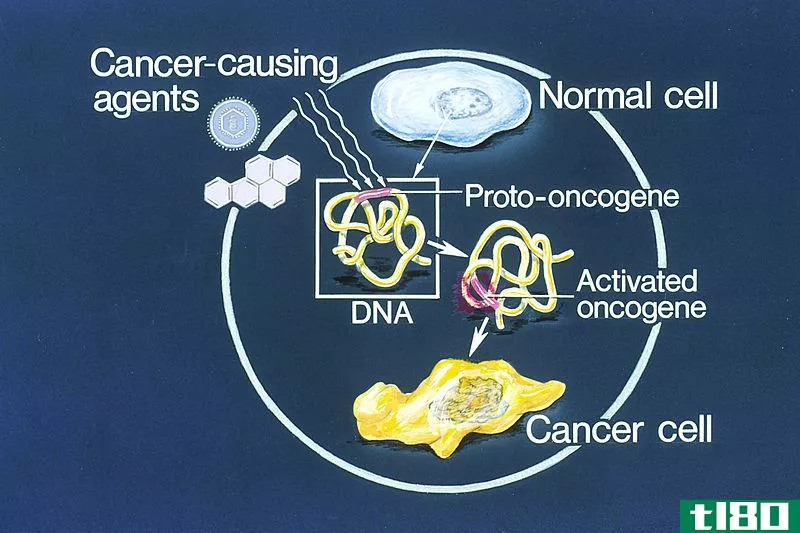 癌基因(oncogene)和抑癌基因(tumor suppressor gene)的区别